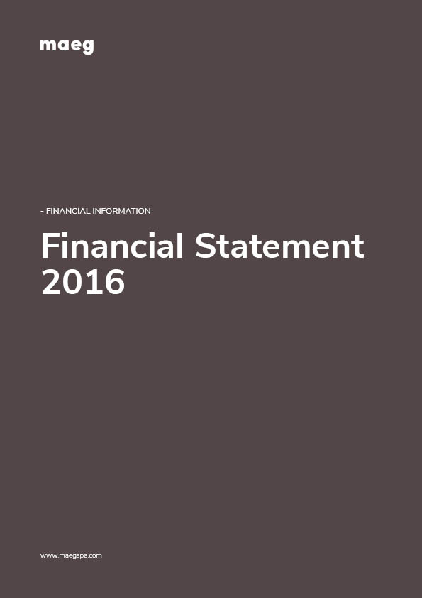 FINANCIAL STATEMENT 2016