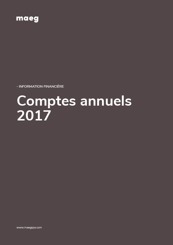 FINANCIAL STATEMENT 2017