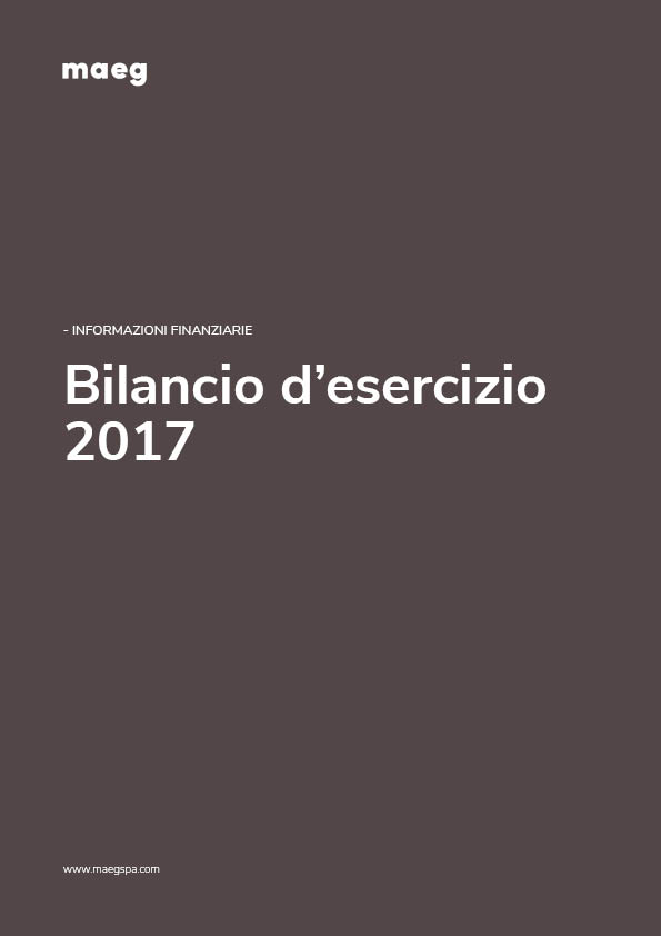 FINANCIAL STATEMENT 2017